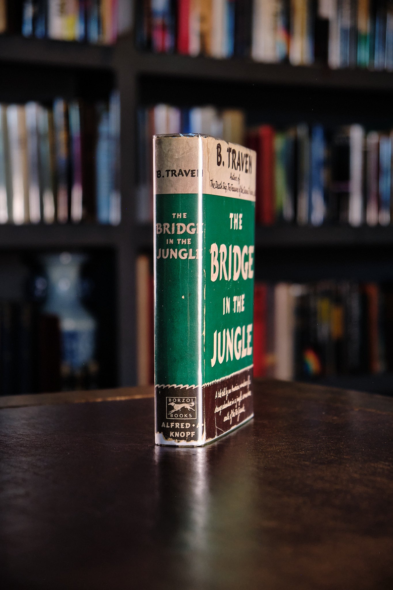 The Bridge in the Jungle