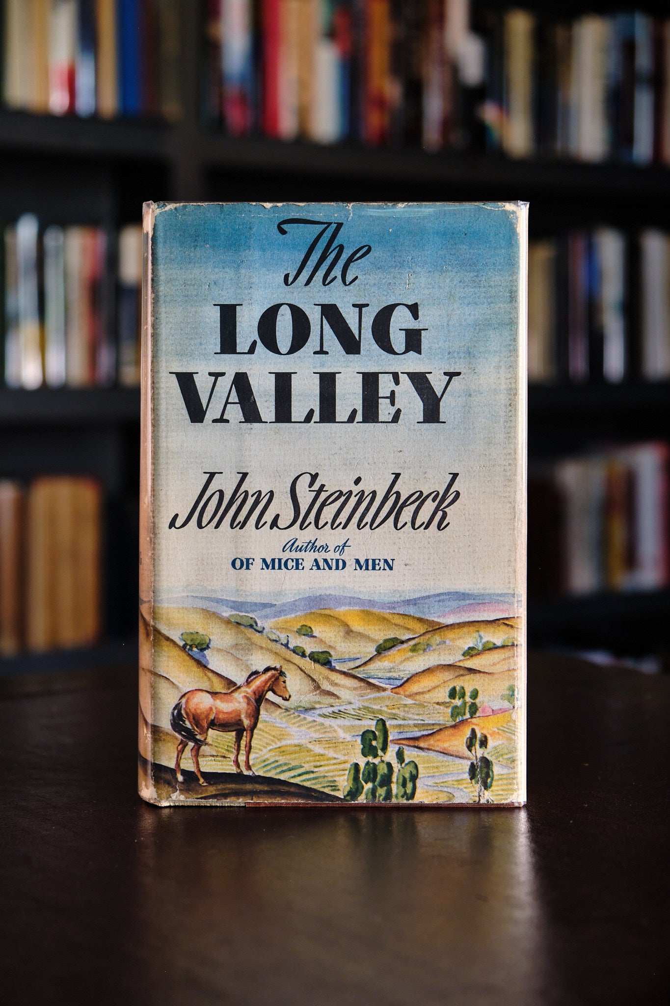 The Long Valley