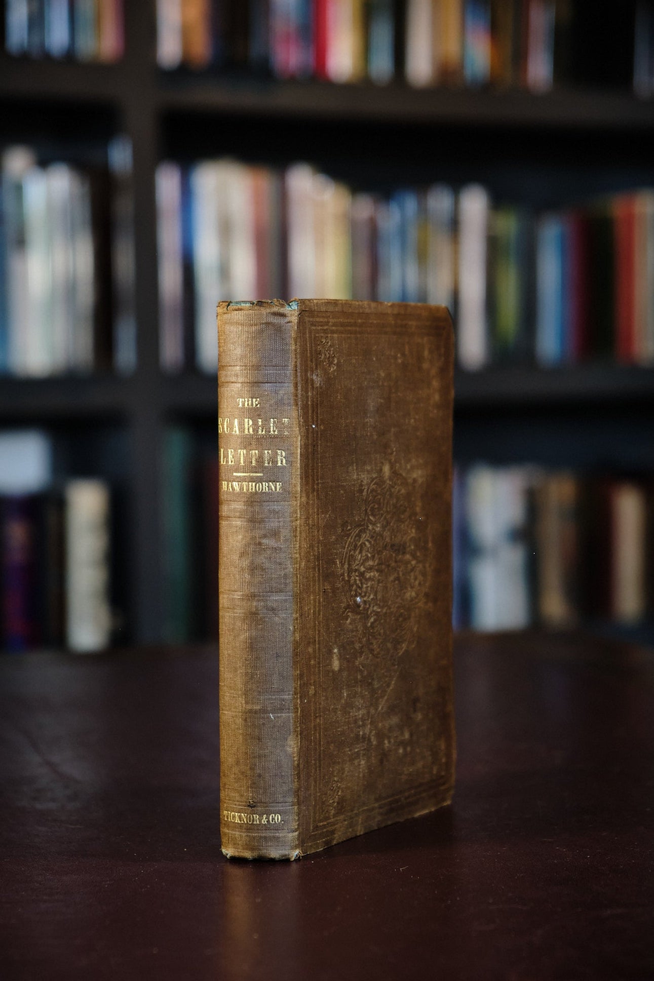 Spine of the Scarlett Letter 1st Edition